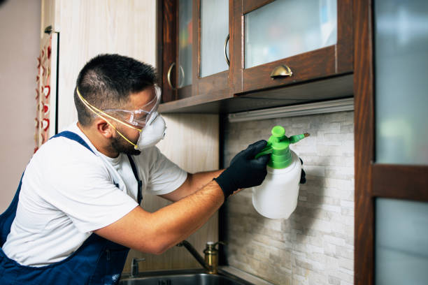 Best Pest Inspection Near Me  in Palermo, NJ