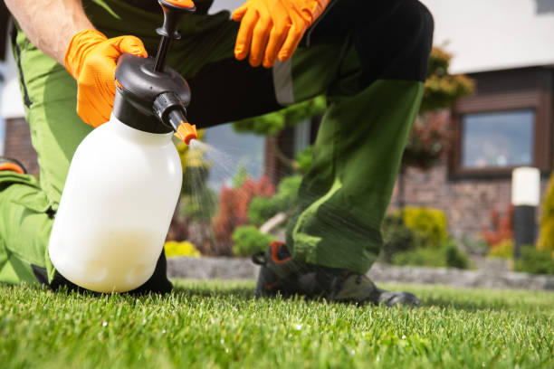 Best Affordable Pest Control Services  in Palermo, NJ