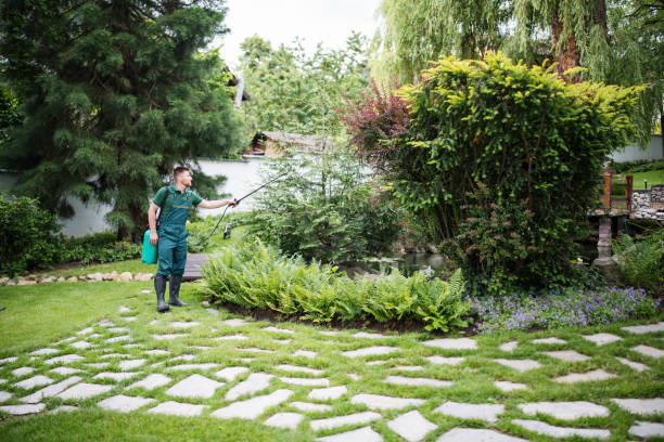 Best Best Pest Control Companies  in Palermo, NJ