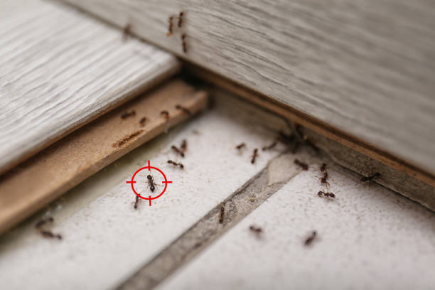 Palermo, NJ Pest Control Company