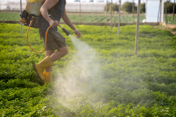 Pest Control Cost in Palermo, NJ