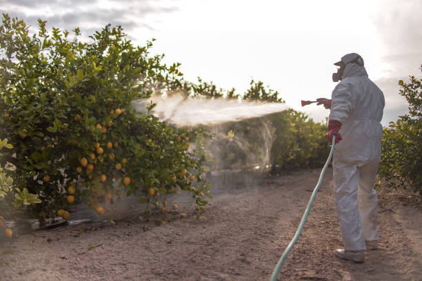 Best Pest Control for Businesses  in Palermo, NJ