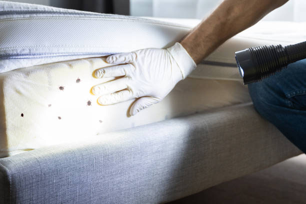 Best Flea Control Services  in Palermo, NJ