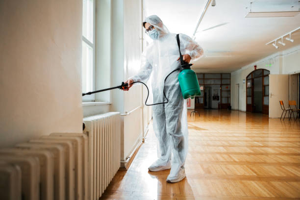 Best Termite Control Services  in Palermo, NJ