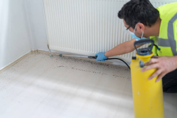 Best Emergency Pest Control  in Palermo, NJ