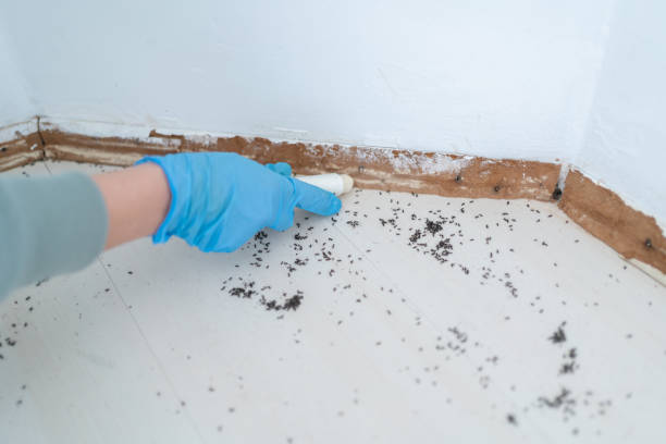 Best Affordable Pest Control Services  in Palermo, NJ
