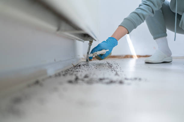 Best Wasp Removal Services  in Palermo, NJ