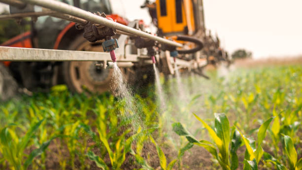Best Mosquito Control Services  in Palermo, NJ