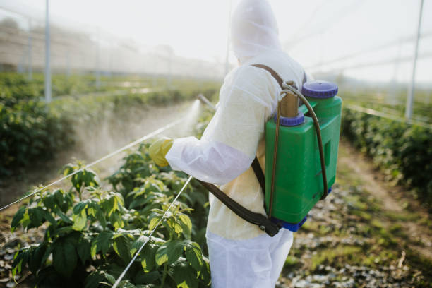 Best Local Pest Control Services  in Palermo, NJ